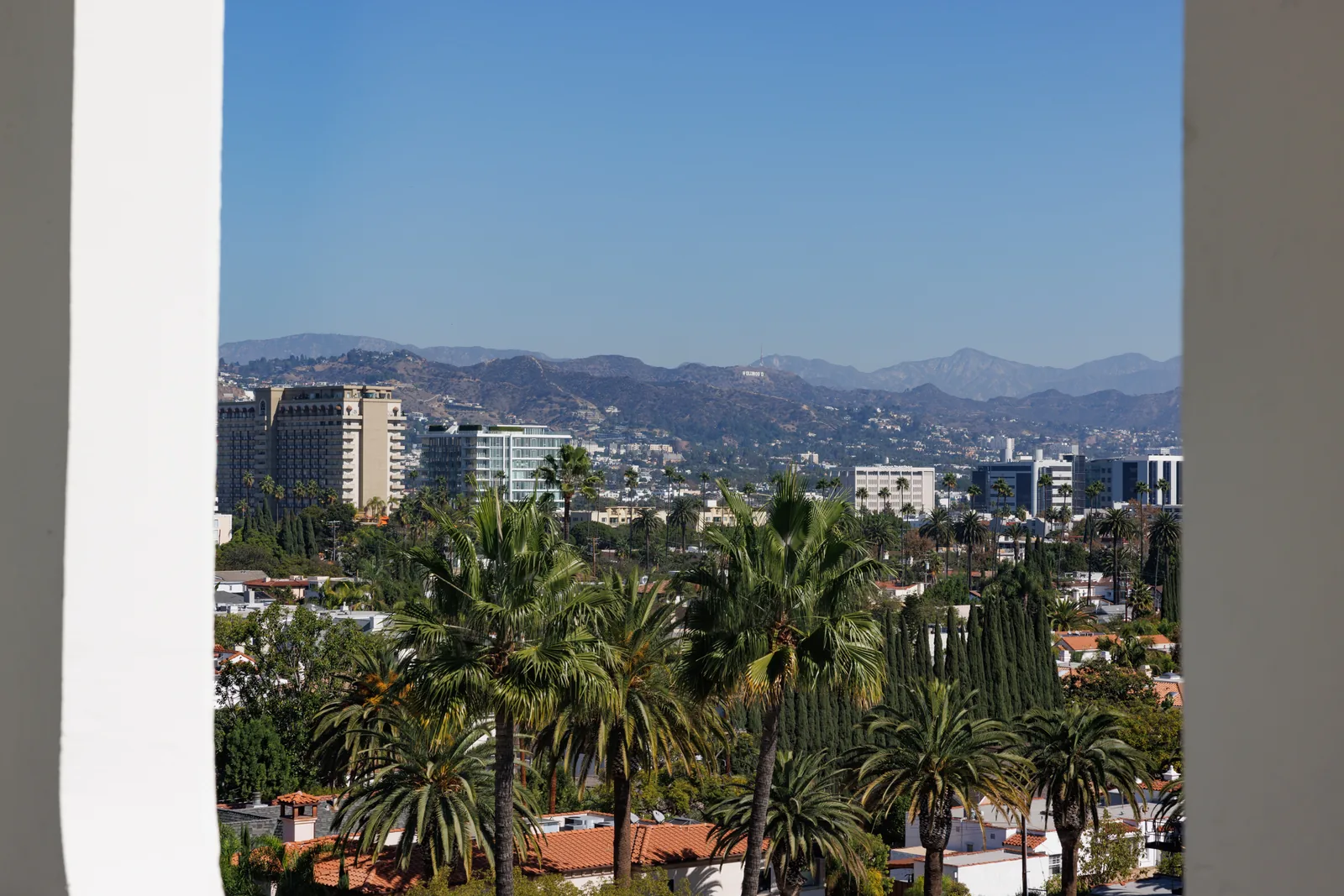 View of palm trees, the Hollywood Hills and the Hollywood sign